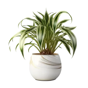 เศรษฐีเรือนใน